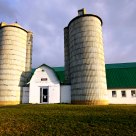 King Barn